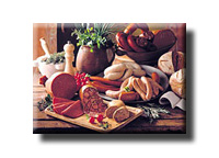 Diplomarbeit: Mag. Matthias FLORIAN