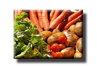 Diplomarbeit: Mag. Gundula SCHINDLEGGER