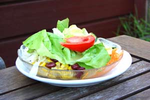 Gesunder Bio-Salat aus dem eigenen Garten. (c) Univ.-Prof. Dr. Gerhard W. Hacker, Salzburg (2008).